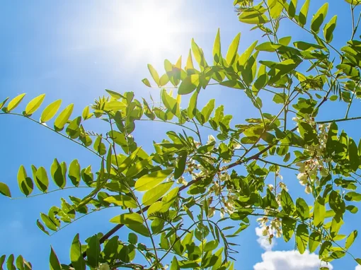 General Membrane: General Solar PV, il sistema BIPV che ferma l’acqua e cattura il sole